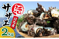 対馬産 活サザエ 2kg《対馬市》【保家商事】 対馬 常温配送 さざえ 貝 魚介 サザエ さしみ 刺し身 お刺し身 贈答 贈り物 ギフト 人気 ランキング 長崎 九州 つしま 対馬市 海鮮 [WAA015]