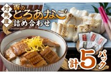 対馬産 穴子 詰め合わせ 5PAC《 対馬市 》【対馬水産株式会社】対馬 新鮮 とろ あなご ふわふわ 煮穴子 冷凍 海鮮 [WAV001]