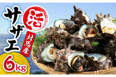 対馬産 活サザエ 6kg《対馬市》【保家商事】 対馬  常温配送 さざえ 貝 魚介 サザエ さしみ 刺し身 お刺し身 贈答 贈り物 ギフト 人気 ランキング 長崎 九州 つしま 対馬市 海鮮 [WAA016]