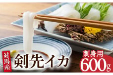 剣先 イカ 刺身 セット 600g《対馬市》【海風商事】長崎 九州 海鮮 天ぷら [WAD020]冷凍 刺し身 剣先いか 魚介 海産物 あかいか まるいか いか もう1品 おかず いかそうめん おつまみ 対馬 長崎