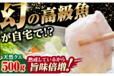 【24年11月より順次発送】対島産 幻の高級魚 クエ 500g《対馬市》【保家商事】 冷凍配送 くえ アラ 切身 海鮮 鮮魚 魚介 [WAA004]
