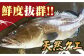 クエ鍋 天然くえ 高級魚 アラ 魚 新鮮 下処理 クエ くえ 希少 鍋 冷凍 対馬 長崎 九州 つしま 対馬市 海鮮 魚介