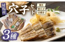 対馬 穴子 セット 500g《対馬市》【海風商事】国産 九州 長崎 煮穴子 白焼き [WAD022]冷凍 あなご 食べ比べ 白焼き 贈り物 ギフト 煮穴子 おかず もう1品 人気  