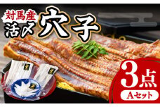 対馬産 活〆 穴子 ３点 セット A【THE・対馬株式会社】《対馬市》新鮮 あなご 刺身 天ぷら 海鮮 肉厚 簡単調理 1人前 [WAS001]