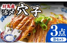 対馬産 活〆 穴子 ３点 セット B【THE・対馬株式会社】《対馬市》新鮮 あなご 刺身 天ぷら 海鮮 肉厚 簡単調理 2人前 [WAS002]