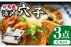 対馬産 活〆 穴子 ３点 セット C【THE・対馬株式会社】《対馬市》新鮮 あなご 刺身 天ぷら 海鮮 肉厚 簡単調理 3人前 [WAS003]