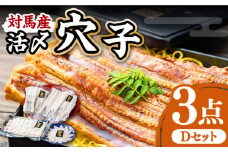 対馬産 活〆 穴子 ３点 セット D【THE・対馬株式会社】《対馬市》新鮮 あなご 刺身 天ぷら 海鮮 肉厚 簡単調理 5人前 [WAS004]