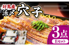 対馬産 活〆 穴子 ３点 セット E【THE・対馬株式会社】《対馬市》新鮮 あなご 刺身 天ぷら 海鮮 肉厚 簡単調理 6人前 [WAS005]