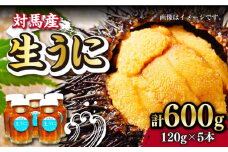 対馬産 生うに 120g×5本《対馬市》【保家商事】 ウニ うに 冷凍 生ウニ 雲丹 対馬 ムラサキウニ 紫ウニ  紫うに 人気 ランキング 長崎 九州 つしま 対馬市 海鮮 魚介 [WAA010]