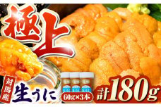 対馬産生うに60g×3本《対馬市》【保家商事】 ウニ うに 冷凍 生ウニ 雲丹 対馬 ムラサキウニ 紫ウニ 紫うに 人気 ランキング 長崎 九州 つしま 対馬市 海鮮 魚介 [WAA009]