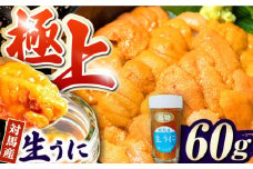 対馬産 生うに 60g《対馬市》【保家商事】 ウニ うに 冷凍 生ウニ 雲丹 対馬 ムラサキウニ 紫ウニ 紫うに 人気 ランキング 長崎 九州 つしま 対馬市 海鮮 魚介 [WAA012]