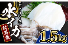 【 対馬産 】水 イカ （ アオリイカ ） 生 冷凍 1.5kg 《対馬市》【石川水産】刺身 塩辛 鮮度抜群 海鮮 [WAB009]冷凍 新鮮 下処理 刺身 煮付け 塩焼き 海鮮 あおりいか おつまみ もう1品 真空パック 簡単調理 アオリイカ 対馬 長崎