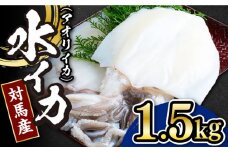 【 対馬産 】水 イカ （ アオリイカ ） 生 冷凍 1.5kg 《対馬市》【石川水産】刺身 塩辛 鮮度抜群 海鮮 [WAB009]冷凍 新鮮 下処理 刺身 煮付け 塩焼き 海鮮 あおりいか おつまみ もう1品 真空パック 簡単調理 アオリイカ 対馬 長崎