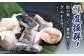  くえ 鍋セット 海の幸 クエ 下処理 冷凍 新鮮 小分け 海産物 切り身 切身 白身 鍋 しいたけ クエ鍋 対馬