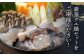 くえ 鍋セット 海の幸 クエ 下処理 冷凍 新鮮 小分け 海産物 切身 切り身 白身 しいたけ からあげ クエ鍋 対馬