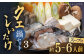 くえ 鍋セット 海の幸 クエ 下処理 冷凍 新鮮 小分け 海産物 切身 切り身 白身 九州 長崎 しいたけ クエ鍋 対馬 