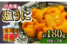 対馬産 塩うに 60g×3本 《対馬市》【保家商事】 ウニ うに 冷凍 塩ウニ 対馬 雲丹 ムラサキウニ 紫ウニ  紫うに 人気 ランキング 長崎 九州 つしま 対馬市 海鮮 魚介 [WAA001]