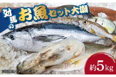 対馬 のお 魚  (大潮) 5kg 《対馬市》【ゆうなぎ対馬】鮮魚 新鮮 海鮮 イカ サザエ ヒラマサ ブリ 真鯛 クエ 冷蔵 [WAG003]冷蔵 生魚 鮮魚 朝獲れ 地魚 旬 新鮮 ブリ 真鯛 鯛 クエ ヒラマサ 刺身 お試し つしま 長崎