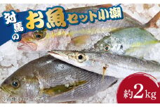 対馬 のお 魚 (小潮) 2kg 《対馬市》【ゆうなぎ対馬】 鮮魚 新鮮 海鮮 イカ サザエ アジ クエ ヒラマサ ハタ [WAG002]冷蔵 生魚 鮮魚 朝獲れ 地魚 旬 新鮮 アジ クエ ヒラマサ 刺身 お試し つしま 長崎