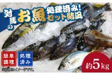 対馬 のお 魚 (結凪ユウナギ)  5kg《対馬市》【ゆうなぎ対馬】処理済み 鮮魚 新鮮 海鮮 イカ サザエ ヒラマサ ブリ 真鯛 クエ 冷蔵 [WAG004]冷蔵 下処理済み 簡単調理 生魚 鮮魚 朝獲れ 地魚 旬 新鮮 ブリ 真鯛 鯛 クエ ヒラマサ 刺身 お試し つしま 長崎
