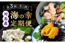 【全3回定期便】対馬産 海の幸定期便 《対馬市》【保家商事】 長崎 九州 つしま 対馬市 定期便 ていきびん 毎月届く ウニ さざえ 穴子 刺身 刺し身 うに 雲丹 栄螺 あなご 詰め合わせ 魚介 海鮮 [WAA013]