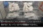 魚 魚介 魚介類 海鮮 クエ くえ 鍋 クエ鍋 切り身 切身 鍋セット お取り寄せ アラ 高級魚 希少 冷凍 新鮮 海の幸 
