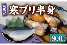 【24年1月9日以降発送】【1月限定】対馬 寒 ブリ 片身 800g《対馬市》【海風商事】国産 長崎 九州 刺身 [WAD004]冷蔵 新鮮 ぶり 寒ぶり フィレ  海鮮 魚介 鰤 刺身 しゃぶしゃぶ 煮物 BBQ 鍋 ブリしゃぶ 肉厚