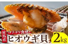 対馬 2枚貝 ヒオウギ 貝 2kg《対馬市》【海風商事】国産 九州 長崎 海鮮 BBQ [WAD002]産地直送 冷凍 冷蔵 ひおうぎ貝 新鮮 魚介 対馬 つしま バーベキュー BBQ 浜焼き 貝類  酒蒸し おつまみ おかず
