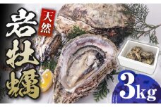 天然 岩ガキ 3kg《対馬市》【海風商事】国産 九州 長崎 牡蠣 [WAD001]冷蔵 新鮮 岩牡蠣 BBQ バーベキュー カキフライ 生牡蠣 生カキ 対馬 つしま かき 海鮮 魚介 浜焼き 貝