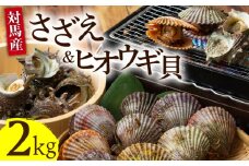 対馬 さざえ ヒオウギ貝 セット 計2kg《対馬市》【海風商事】天然 サザエ 国産 九州 長崎 海鮮 BBQ [WAD003]産地直送 冷凍 冷蔵 栄螺 ひおうぎ貝 新鮮 魚介 対馬 つしま バーベキュー BBQ 浜焼き 貝類  酒蒸し おつまみ おかず 詰め合わせ 海鮮セット