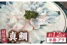 対馬 マダイ 3枚おろし 約1.2kg《対馬市》【海風商事】国産 長崎 九州 刺身 [WAD005] 冷蔵 新鮮 鮮度抜群 まだい 半身 刺身 しゃぶしゃぶ 片身 アラ 鯛 たい 刺し身 3枚卸  魚介 鯛しゃぶ 贈り物 お祝い