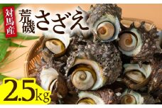 荒磯 さざえ 2.5 kg《対馬市》【海風商事】天然 サザエ 国産 九州 長崎 海鮮 BBQ [WAD006]冷蔵 対馬 栄螺 海鮮 BBQ バーベキュー 刺身 壺焼き 浜焼き 海鮮セット 魚介類 産地直送 おつまみ おかず
