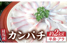 対馬 カンパチ 3枚おろし 約2kg 《対馬市》【海風商事】国産 長崎 九州 刺身 [WAD010]冷蔵 新鮮 鮮度抜群 かんぱち 海鮮丼 半身 刺身 しゃぶしゃぶ 片身 刺し身 3枚卸  魚介 贈り物 お祝い