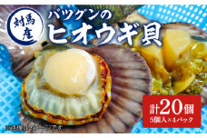 対馬産 バツグンの ヒオウギ貝 5個×4パック 《対馬市》【ゆうなぎ対馬】 新鮮 海鮮 魚介類 ヒオウギガイ ヒオウギ 貝 バーベキュー 網焼き 酒蒸し 冷凍 [WAG001]九州 長崎 対馬 ホタテ 貝殻 魚介 帆立 桧扇貝 長太郎貝 魚 国産 海の幸 豪華 ほたて 肉厚 つしま 