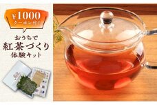 【最速発送】 おうちで 紅茶 づくり 体験キット（Webショップで使えるクーポン付）《対馬市》【つしま大石農園】 国産 ティー  スピード発送 最短発送 [WBE010]