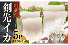 剣先イカ 5本 セット【丸徳水産】《対馬市》鮮度抜群 新鮮 ケンサキイカ シロイカ 下処理済 刺身 BBQ 惣菜 天ぷら フライ 海鮮 [WAE011]冷凍 あかいか 剣先いか 簡単調理 もう1品 処理済 まるいか 魚介 時短 煮物 和食 