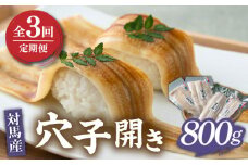 【全3回定期便】対馬 穴子 開き 800g《対馬市》【海風商事】アナゴ 国産 九州 長崎 [WAD029]冷凍 新鮮 あなご 天ぷら もう1品 おかず 肉厚 穴子重 開き 海鮮 魚介 簡単調理 時短  定期便 毎月届く