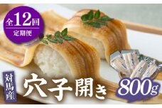 【全12回定期便】対馬 穴子 開き 800g《対馬市》【海風商事】アナゴ 国産 九州 長崎 [WAD031]冷凍 新鮮 あなご 天ぷら もう1品 おかず 肉厚 穴子重 開き 海鮮 魚介 簡単調理 時短 定期便 毎月届く