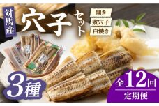 【全12回定期便】対馬 穴子 セット 500g《対馬市》【海風商事】国産 九州 長崎 煮穴子 白焼き [WAD040]冷凍 あなご 食べ比べ 白焼き 贈り物 ギフト 煮穴子 おかず もう1品 人気  定期便 毎月届く