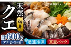 天然 高級魚 クエ 切り身 600g 【長崎県 対馬産】【漁昇丸水産】《対馬市》 活〆 新鮮 海鮮 魚介 海の幸 急速冷凍 クエ鍋 [WBU001]