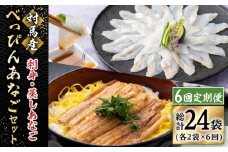 【全6回定期便】対馬産 べっぴん あなご 詰め合わせ 《 対馬市 》【 桐谷商店 】 対馬 新鮮 穴子 刺身 海産物 魚介 [WAQ005]