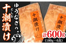 ゆうなぎ の 十潮(としお)漬け《対馬市》【ゆうなぎ対馬】イカ おかず 簡単 惣菜 ご飯に合う 時短調理 冷凍 [WAG023]九州 長崎 対馬 冷凍 ご飯が進む イカ 剣先いか もう1品 ご飯 おかず 漬物