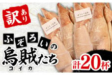 ふぞろい の 烏賊(コイカ) たち 2024《対馬市》【ゆうなぎ対馬】イカ いか 生冷凍 新鮮 簡単調理 海鮮 魚介 煮物 揚げ物 焼き物 訳アリ 訳あり [WAG022]九州 長崎 対馬 いか お惣菜 おかず 烏賊 島土産 おつまみ 新鮮 訳あり ワケあり 詰め合わせ 剣先いか するめいか