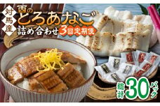 【全3回定期便】対馬産 穴子 詰め合わせ 10PAC《 対馬市 》【対馬水産株式会社】対馬 新鮮 とろ あなご ふわふわ 煮穴子 冷凍 海鮮 [WAV005]