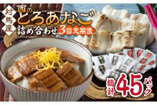 【全3回定期便】対馬産 穴子 詰め合わせ 15PAC《 対馬市 》【対馬水産株式会社】対馬 新鮮 とろ あなご ふわふわ 煮穴子 冷凍 海鮮 [WAV006]