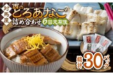 【全6回定期便】対馬産 穴子 詰め合わせ 5PAC《 対馬市 》【対馬水産株式会社】対馬 新鮮 とろ あなご ふわふわ 煮穴子 冷凍 海鮮 [WAV007]