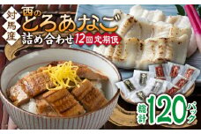 【全12回定期便】対馬産 穴子 詰め合わせ 10PAC《 対馬市 》【対馬水産株式会社】対馬 新鮮 とろ あなご ふわふわ 煮穴子 冷凍 海鮮 [WAV011]