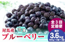 【全3回定期便】 大容量 対馬産 ブルーベリー （ 冷凍 ） 1.2kg【 さほの里ファーム 】《 対馬市 》 有機 旬 果物 フルーツ ぶるーべりー [WBG002]