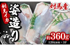対馬 剣先イカ 姿造り 《対馬市》【真心水産】 冷凍 新鮮 イカ 活き造り 刺身 ケンサキイカ 魚介 海鮮 [WAK012]