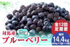 【全12回定期便】 大容量 対馬産 ブルーベリー （ 冷凍 ） 1.2kg【 さほの里ファーム 】《 対馬市 》 有機 旬 果物 フルーツ [WBG004]